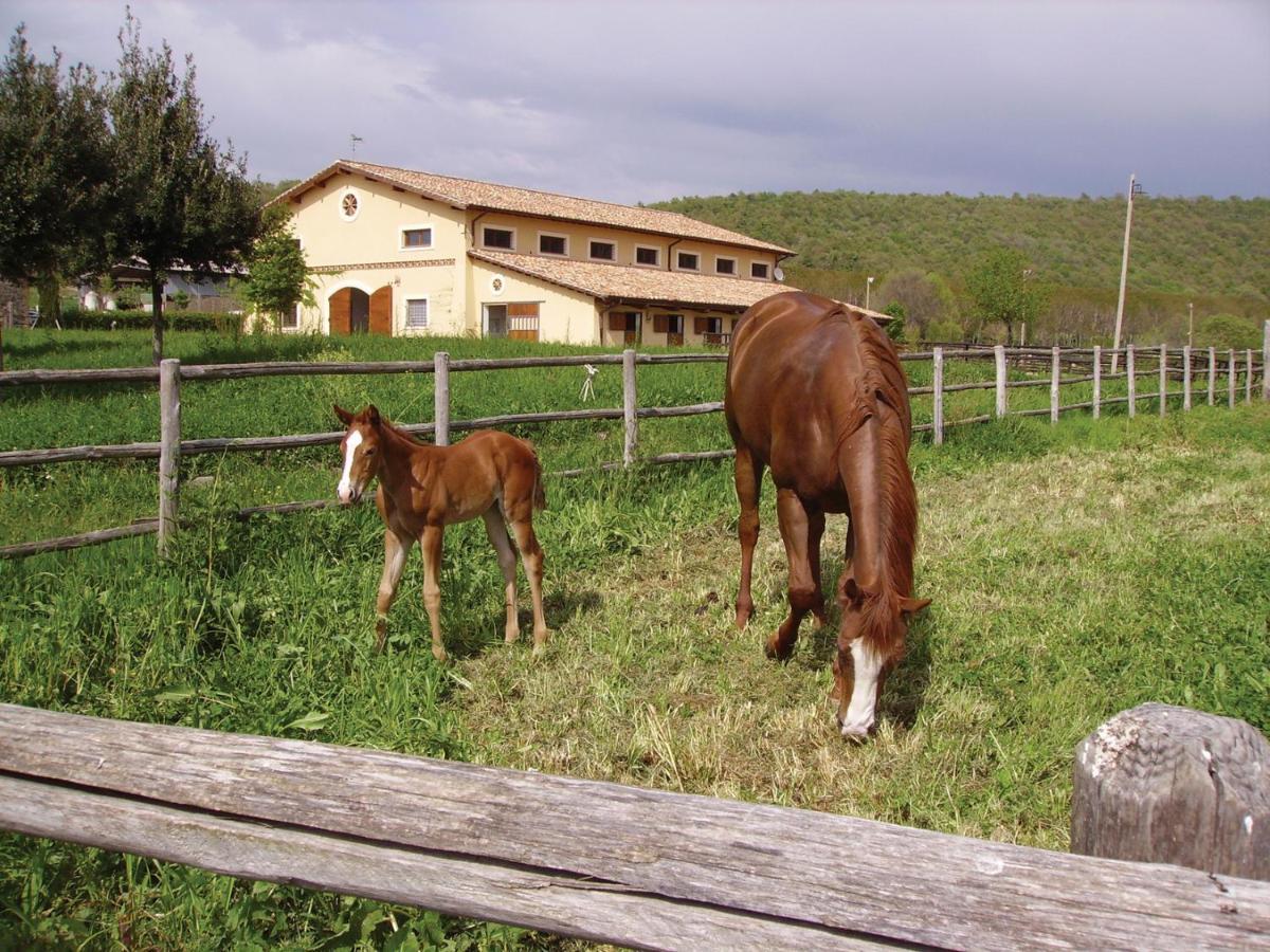 Agriturismo Potrero Grande Sul Lago Di Martignano Con Spiaggia 캄파냐노 디 로마 외부 사진