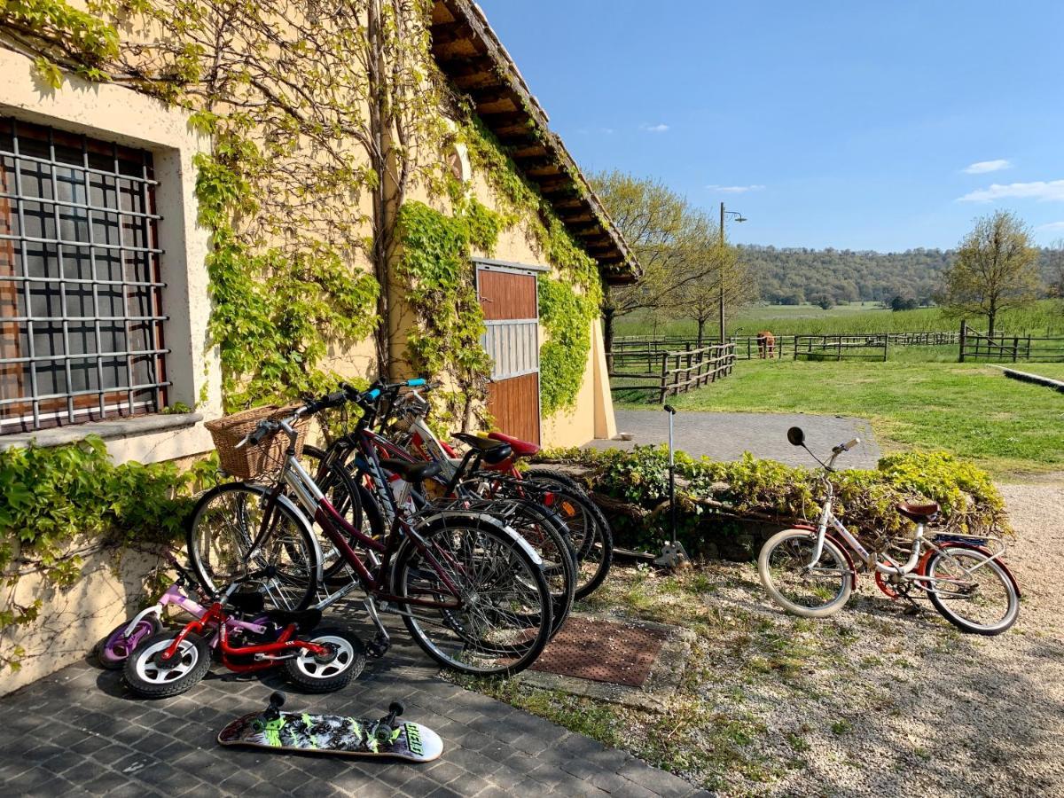 Agriturismo Potrero Grande Sul Lago Di Martignano Con Spiaggia 캄파냐노 디 로마 외부 사진