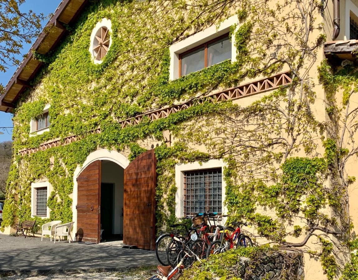 Agriturismo Potrero Grande Sul Lago Di Martignano Con Spiaggia 캄파냐노 디 로마 외부 사진