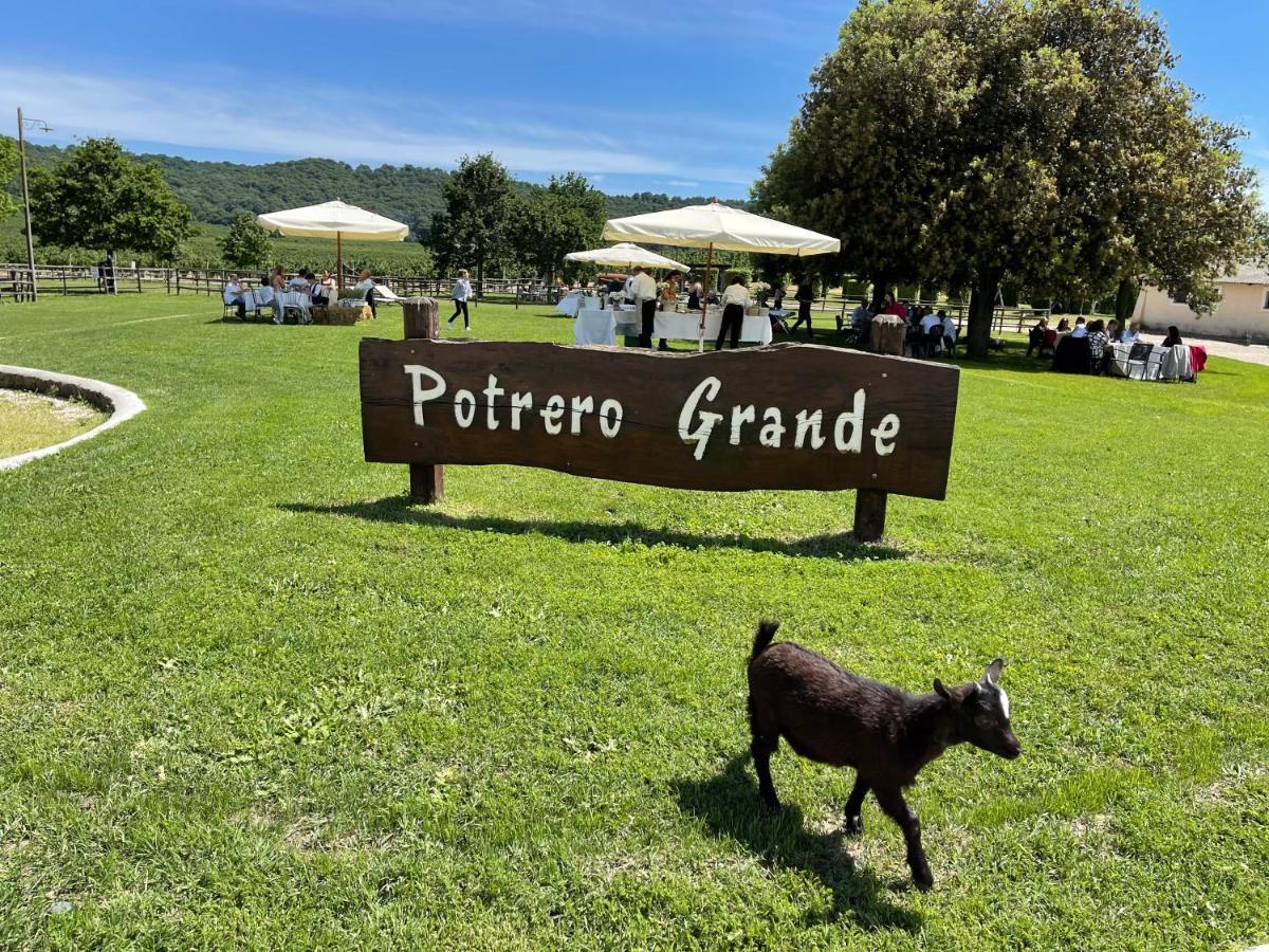 Agriturismo Potrero Grande Sul Lago Di Martignano Con Spiaggia 캄파냐노 디 로마 외부 사진