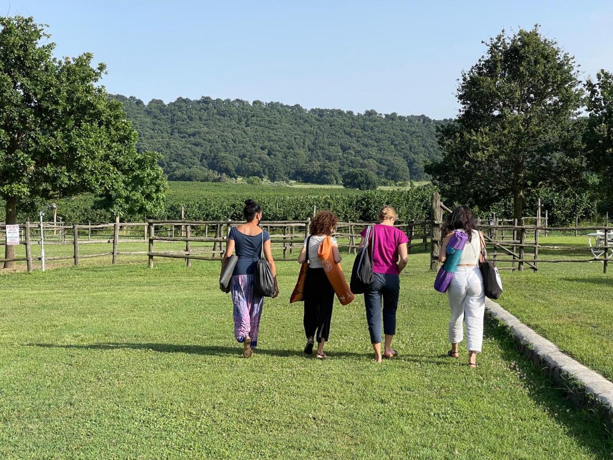 Agriturismo Potrero Grande Sul Lago Di Martignano Con Spiaggia 캄파냐노 디 로마 외부 사진