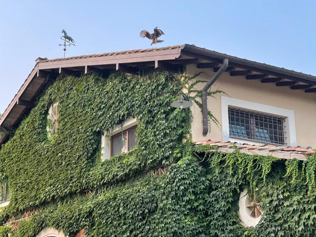 Agriturismo Potrero Grande Sul Lago Di Martignano Con Spiaggia 캄파냐노 디 로마 외부 사진