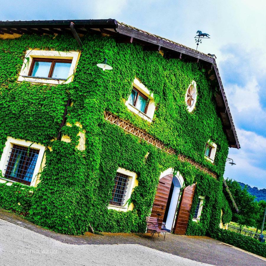 Agriturismo Potrero Grande Sul Lago Di Martignano Con Spiaggia 캄파냐노 디 로마 외부 사진